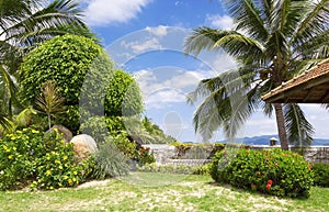 Tropical garden