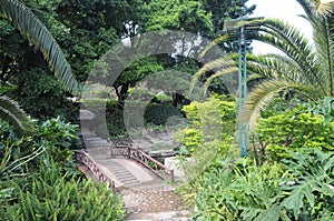 Tropical garden bridge