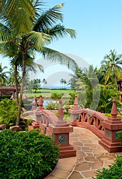 Tropical garden with foot- bridge. Goa