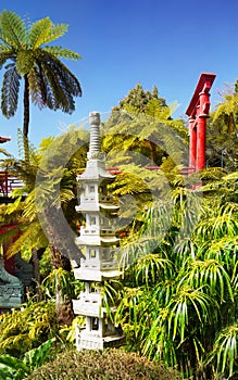 Tropical Garden, Funchal, Madeira, Portugal