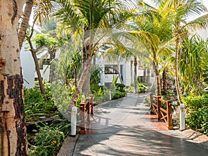 Tropical garden of hotel in Dubai, United Arab Emirates