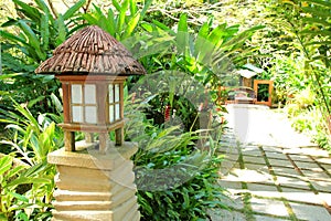 Tropical Garden with Lamp