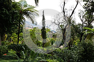 Tropical Garden Madeira