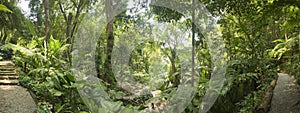 Tropical Garden, Malaysia