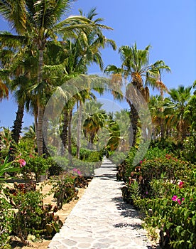 Tropicale giardino non. 3 