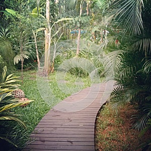 Tropical Garden Path, Ilhabela, Brazil