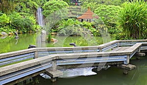 Tropical garden with pond and waterfall