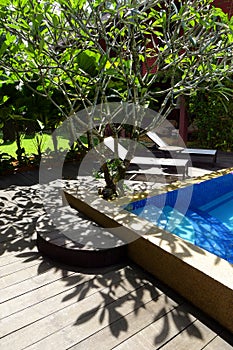 Tropical garden pool side