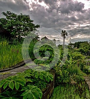 Tropical garden. Promenade dans un jardin tropical. DÃ©cor asiatique. Asian garden