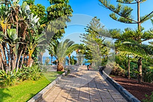 Tropical garden in Puerto de la Cruz town on Tenerife island, Spain