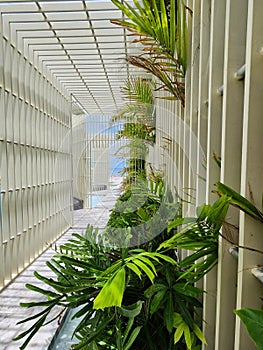 Tropical garden in a resort in pattaya Thailand