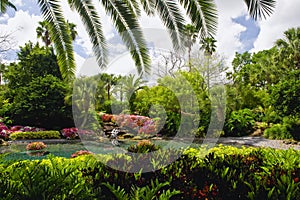 Tropical garden scenery