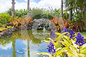 Tropical garden with small pond and flowers kawaii hawaii