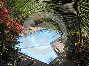 Tropical garden swimming pool bali