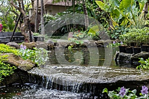 Tropical garden waterfall on exotic island Bali, Indonesia.