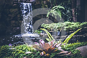 Tropical garden waterfall on exotic island Bali, Indonesia.