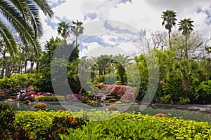 Tropical gardens photo