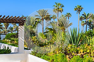 Tropical gardens in Puerto de la Cruz town, Tenerife, Canary Islands, Spain