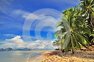 Tropical Getaway photo