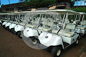 Tropical Golf Carts 3
