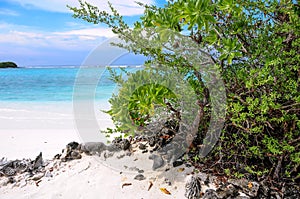 Tropical green bush on white sandy beach and blue lagoon