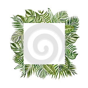 Tropical green foliage square frame for cards, banners. Watercolor summer exotic plants and leaves border on white background