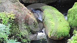 Tropical green garden relaxation in resort with creek