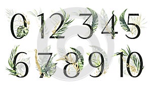 Tropical green and gold floral Number Set - digits 1, 2, 3, 4, 5, 6, 7, 8, 9, 0, 10 with green and gold tropical leaves