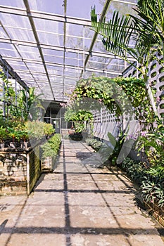 Tropical green house of butterfly garden