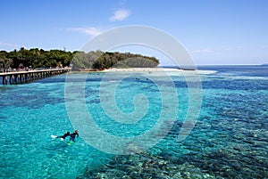 Tropical Green Island snorkeling