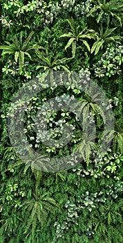 Tropical green leaf