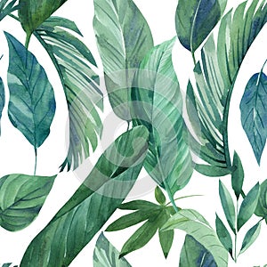 Tropical green leaves seamless patterns. Exotic wallpaper