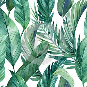 Tropical green leaves seamless patterns. Exotic wallpaper