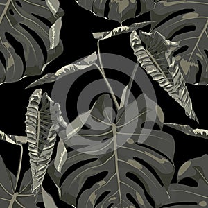 Tropical green monstera leaf illustration. Exotic seamless pattern on black background.