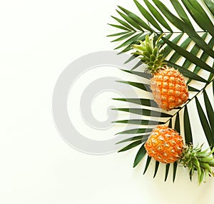 Tropical green palm leaves branches and fruits pineapples