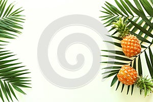 Tropical green palm leaves branches and fruits pineapples