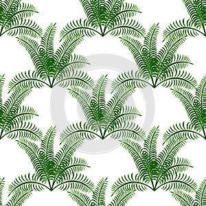 Tropical green palm leaves on a white background.