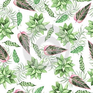 Tropical green and pink leaves and succulent seamless pattern. Watercolor.