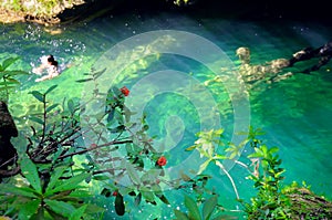 Tropical green waterfall pond at escambray, cuba