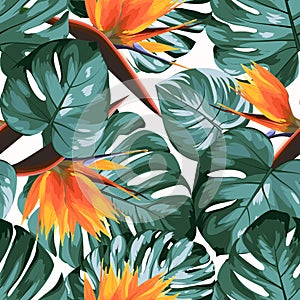 Tropical greenery philodendron monstera jungle rainforest tree leaves. Bright orange strelitzia bird of paradise flowers