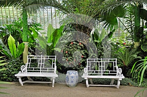 Tropical greenhouse