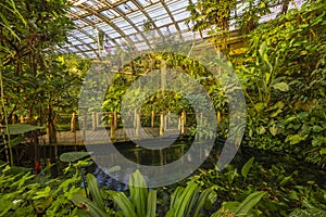 Tropical greenhouse, botanical garden, Prague, Czech Republic