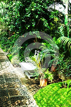 tropical greenhouse interior near Lednice castle