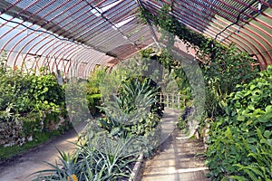 Tropical greenhouses park Anduze bamboo photo