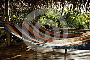 Tropical Hammock