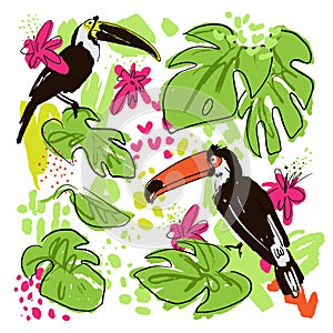 Tropical hand draw vector collection with monstera leaves, parrots - toucans, pink tropic flowers, mixed with paint