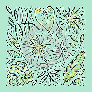 Tropical hand drawn vector sketch set with leaves. Abstract color exotic stylized plant