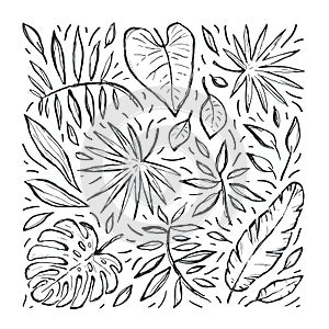 Tropical hand drawn vector sketch set with leaves. Abstract exotic stylized plant drawing