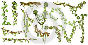 Tropical hanging vines. Jungle liana climbing plants, wild rainforest vines branches with leaves isolated vector