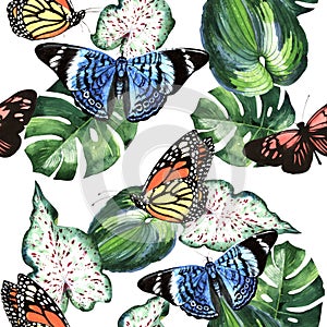 Tropical Hawaii leaves palm tree and butterflies pattern in a watercolor style isolated.